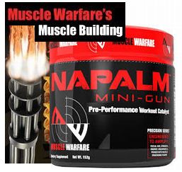 ナパーム・ミニガン・プロテイン(NAPALM MINI-GUN Protein) 152g (フルーツ味)1ボトル