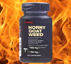 z[j[ES[gEEB[hiHorny Goat Weedj