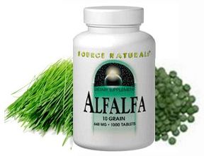 アルファルファ(紫馬肥)Alfalfa 10 Grain 648mg 250 tabs