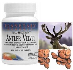 アントラー・ベルベット(Antler DeerVelvet)鹿の角成分 30錠