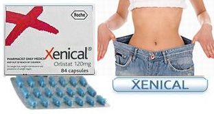 ゼニカル(Xenical) 84caps
