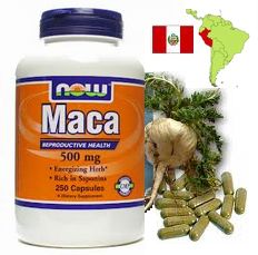 マカ(MACA)