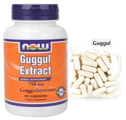 ググルステロン(Guggulsterone Extract ) 90caps
