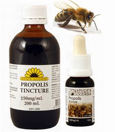 プロポリス・ティンクチャー(Propolis Tincture)