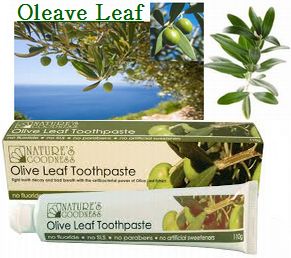 オリーブリーフ・トゥースペースト(Olive Leaf Toothpaste)歯磨 110g