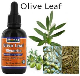 I[uE[ttICiOlive leaf extractj 2oz/60ml