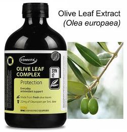 オリーブ・リーフ (Olive Leaf)エキス溶液(オリーブの葉)100ml 500ml