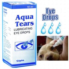犬の目薬(点眼薬) 10ml