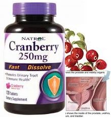 クランベリー(Cranberry)250mg 120tabs