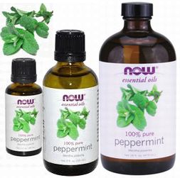ペパーミント・オイル(Peppermint Oil)