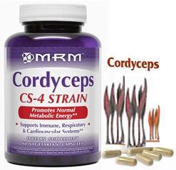 コルディセプス(Cordyceps)冬虫夏草 60caps
