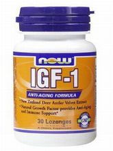 IGF-1(インシュリン成長因子-1)