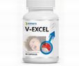 V-GNZiV-Excelj
