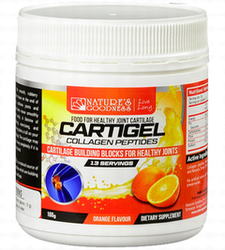 カートジェル・パウダー(CARTIGEL Peptides Powder)160g 鮫軟骨の抽出成分