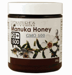 ANeBuE}kJnj[20+iActive Manuka Honey 20+ j250g 500g