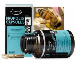 プロポリス・カプセルPFL15(Propolis Capsules PFL15)