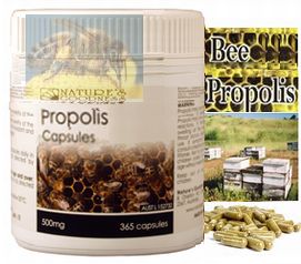 プロポリス・カプセル (Propolis Capsule) 360caps